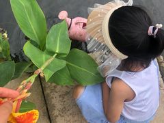 -前小桔亲子创意农场·草莓采摘·露营烧烤