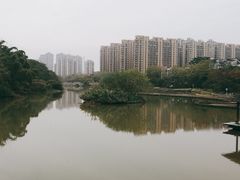 -金山公园