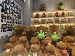 -巧克玩家·城市伴手礼(in88银泰店)