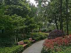 -成飞公园