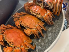 -極上萬膳·日料放题(来福士江景店)