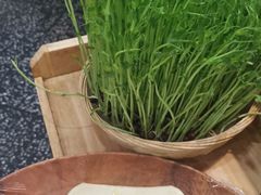 -洪氏嗨捞·猪肚鸡火锅(阳光天地店)