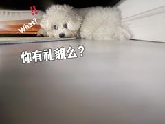 -上海第一八佰伴