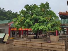 -广东圆玄道观