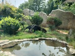 -大连森林动物园