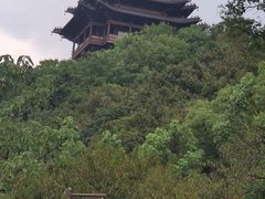 -杭州半山国家森林公园