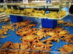 水产区-必点海鲜·鲅鱼水饺(鞍山西道店)