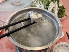 -孔庆璞河豚馆(白玉兰酒店)