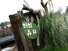 -田园东方蜜桃村的田野营地