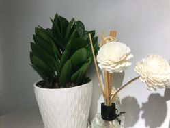 -素妍国际皮肤管理中心
