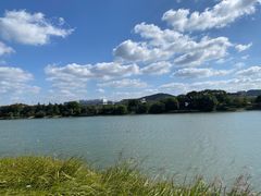 -羊山湖公园