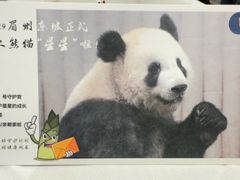 -眉州东坡(团结湖店)