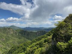 -大岭沟猕猴桃谷风景区