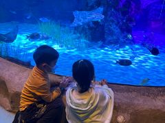 -沈阳海洋探索中心