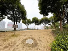 -南翔镇银翔湖公园