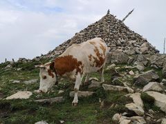 -灵山