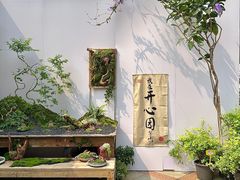-顺峰山公园