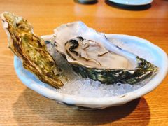 生蚝-渔藤(万柳东路店)