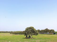 -阳澄湖半岛旅游度假区