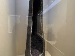 -安徽省地质博物馆