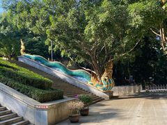 -西双版纳勐泐文化旅游区