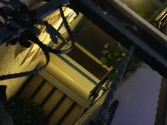 -Sirena海妖日咖夜酒