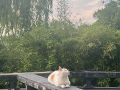 -西湖天地