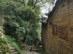 -杨家堂村