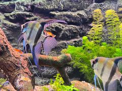 -上海海洋水族馆