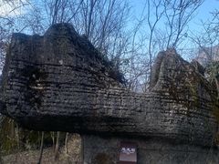 -山王坪喀斯特国家生态公园