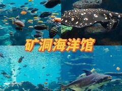 -长鹿旅游休博园