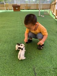 -萌宠亲子动物乐园(槐房万达店)