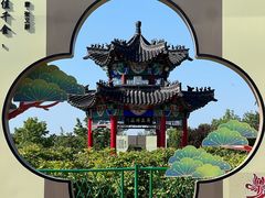 -曹州牡丹园