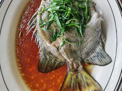 -八仔大富楼·河鲜(西江店)