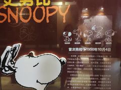 -史努比缤纷世界