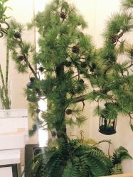 -芳朵美容养生SPA