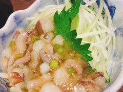 芥末八爪鱼-大雄寿司(中华广场店)