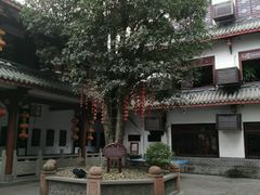 -郫都区农科村景区