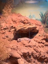 -酷嗒动物文化乐园(cutezoo西溪乐天城店)