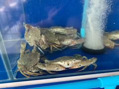 -泰华海鲜中餐厅(普吉镇店)