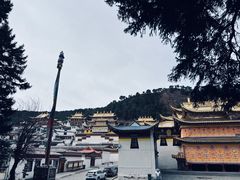 -四川郎木寺镇