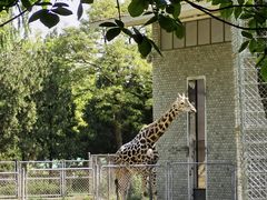 -石家庄市动物园