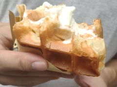 -成裕雪糕店(士多店)