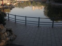 -莲湖公园