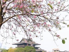 -海珠湖公园