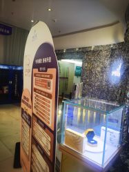 点击看大图 -深圳美莱医疗美容医院