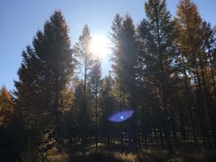 -塞罕坝国家级自然保护区