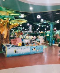 -维佳童话镇演出现场(徐东店)
