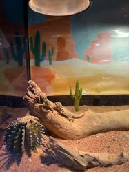 -酷嗒动物文化乐园(cutezoo西溪乐天城店)