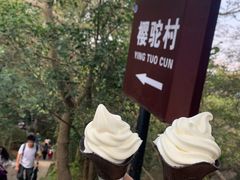 -紫金山山顶公园